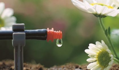 Tarımsal sulamaya yüzde 50 destek!