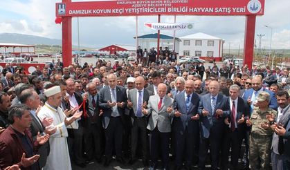 Erzurum hayvan pazarı açıldı!