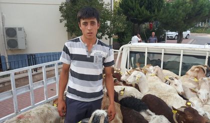 Tarım İl Müdürlüğü: Genç çiftçilerin yüzünü güldürdü!