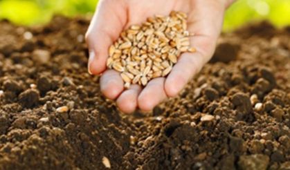 Tohumda doğruları bilmek istiyoruz!