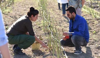 Yediği kuşkonmaza âşık oldu çiftçi olmaya karar verdi!