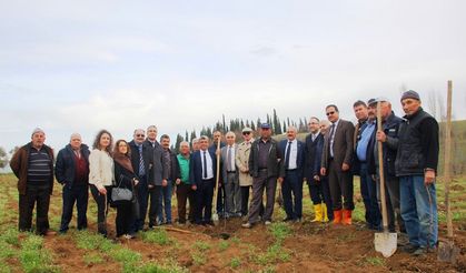 Yalova’da iki köyde 13 hurma bahçesi kuruldu