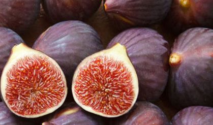 İncirin mucizevi faydaları