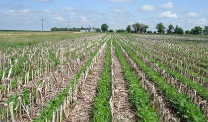 57 ilde çiftçiye ÇATAK desteği