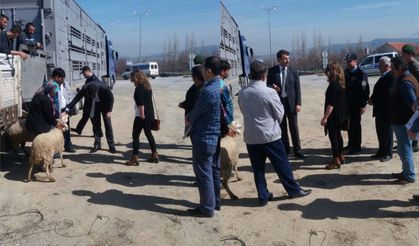 Denizlili genç çiftçilerin yüzü güldü