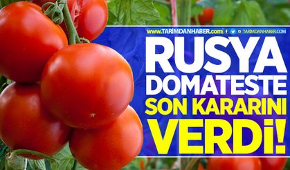 Rusya domateste son kararını açıkladı