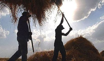 Tarımsal destekler aylar sonra nihayet açıklandı!