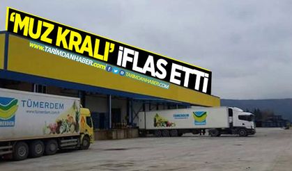 Muz kralı iflas etti