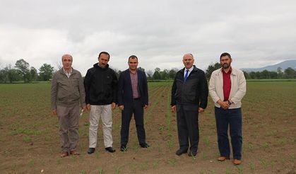 Bolu Ovası’nda: Kinoa ve mısır atağı!