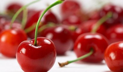 Vişne üretiminde ilk üç il belli oldu