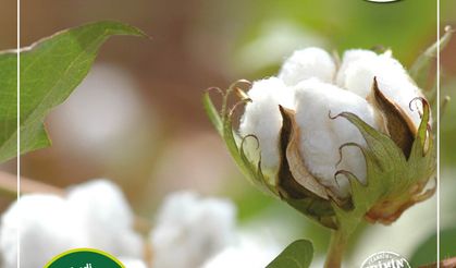 Çiftçilerimizin dikkatine!