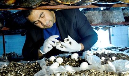 Kahramanmaraşlı genç çiftler mutlu!