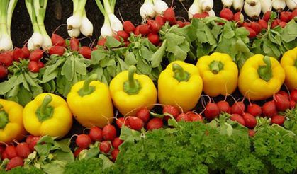 Organik tarım destekleri açıklandı