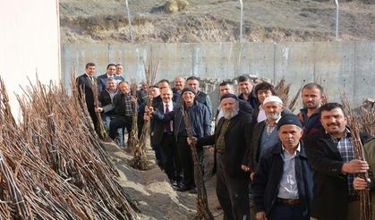 Çankırı’da meyvecilik gelişiyor!