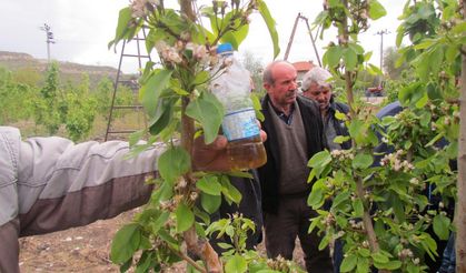 Üzüm üreticilerine elma sirkesi dağıtıldı!