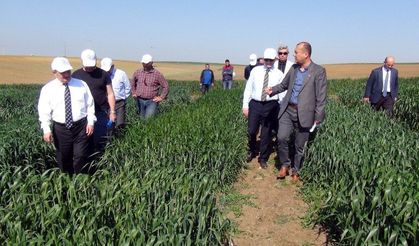 Vali Ceyhan: Türkiye artık kendi tohumunu üretiyor!