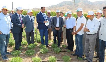 Elazığ’da ‘Tarla Günü’ etkinliği yapıldı