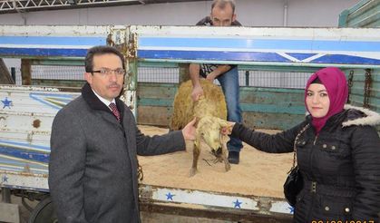 Kastamonu’da genç çiftçi projesi destekleri devam ediyor