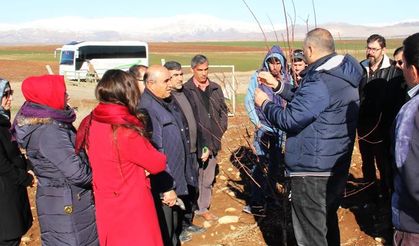 Adıyaman’da ‘ağaç budama’ kursu başladı