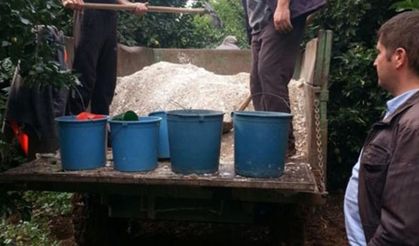 Adana’da ağaçlara bordo bulamacı uygulaması yapıldı