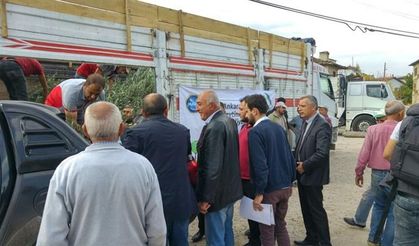 Tarım İl Müdürlüğü: Zeytin fidanı dağıttı