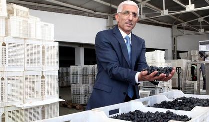 Ramazan’da zeytine zam yok!