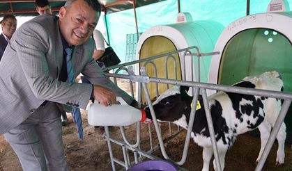 Buzağı takip sistemi android uygulaması hayata geçti