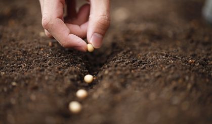 Tohum ihracatında 2015’de yaşanan kaybın bir kısmı geri alındı