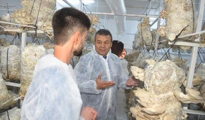 19 yaşındaki genç çiftçi mantar üretim tesisi kurdu
