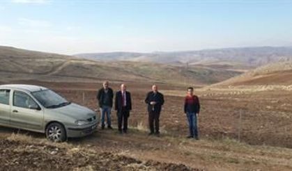 Siirt’ten fıstık atağı!