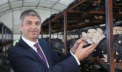 Tarım İl Müdürü Açıkladı! Kırsal kalkınmaya destekler artacak!