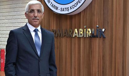 Marmarabirlik 23 bin ton zeytin alımı yaptı