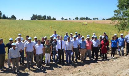 Nohut Tarla Günü etkinliği yapıldı