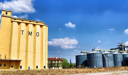 TMO piyasada istikrarı sağlamak için tedbir alacak!