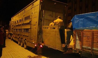 İhsangazili genç çiftçiler destekleniyor