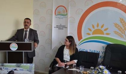 KOP kapsamında Bafra koyunu dağıtılacak!