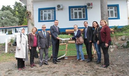 Hatay’da adaçayı fidesi dağıtıldı