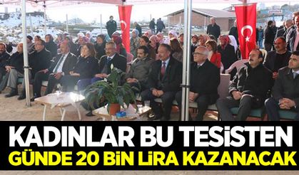 Kadınlar pekmez üretim tesisinden günde 20 bin lira kazanacaklar!