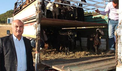 Adıyaman’da genç çiftçilerin yüzü güldü