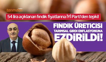 İYİ Partili Kahveci'den fındık fiyatlarına tepki: Girdi enflasyonunun bile altında kaldı!