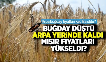 Buğday fiyatları düştü, arpa fiyatları yerinde kaldı, mısır fiyatları yükseldi! İşte 22 Ağustos hububat fiyatları!