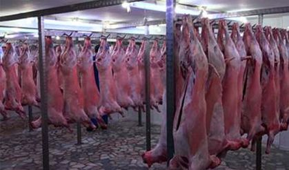 Sığır kesim fiyatları 2026 – İl il güncel piyasa yorumları