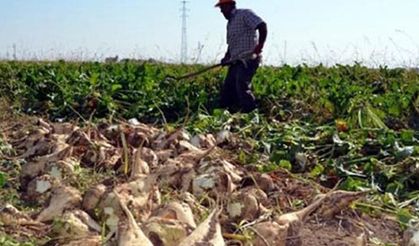 Eskişehir havza destekleri 2026: Hangi ürünler destekleniyor?