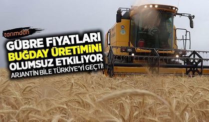 Gübre fiyatları Türkiye'nin buğday üretimini olumsuz etkiliyor! Arjantin bile Türkiye'yi geçti!