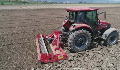 Hakkari Türkiye birincisi oldu