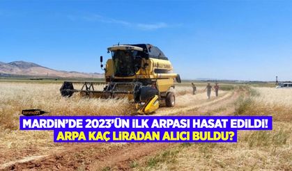 Mardin’de 2023 sezonunun ilk arpası hasat edildi! Arpa kaç liradan alıcı buldu?