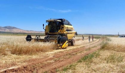 Kırıkkale tarımı rakamlarla: Her 18 kişiden biri çiftçi