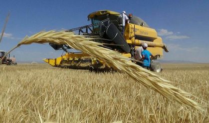 1 ton arpa kaç TL oldu? 20-24 Ocak hububat satış fiyatları!