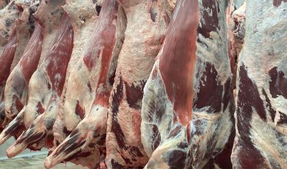 Kırmızı et 141 bin ton arttı, ithalat olmasın