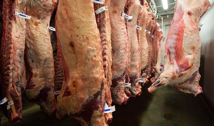 Karkas ette kritik hafta: Dana düştü, kuzu 531 liraya çıktı!